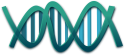 dna-helix-genes-306347 dna, helix, genes-306347.jpg